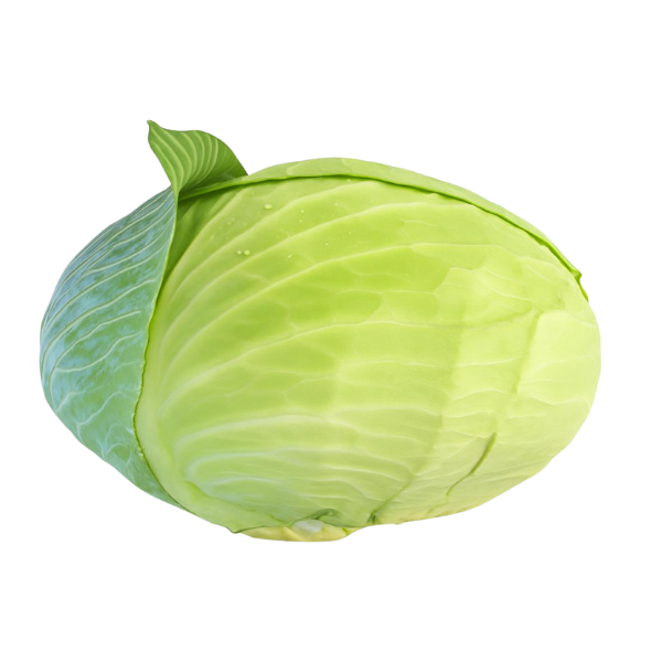 Turşuluk Lahana Adet