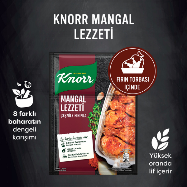 Knorr Fırında Tavuk Çeşnisi Mangal Lezzeti 29gr
