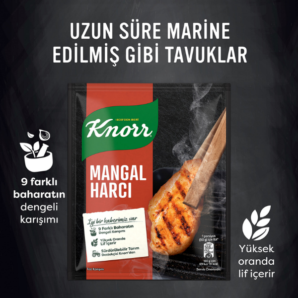 Knorr Mangal Harcı 37gr