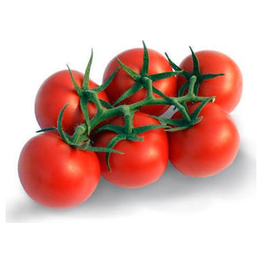 Tomates en Branche 500gr